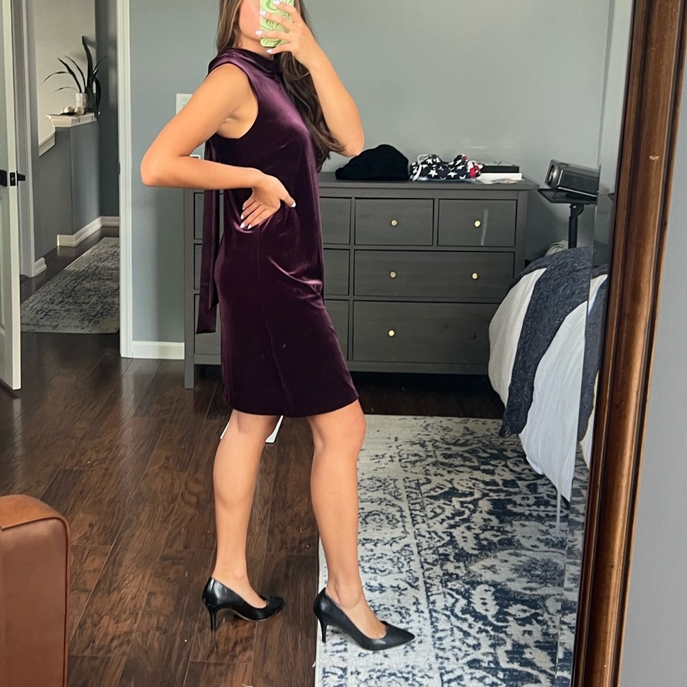 Plum Velvet Dress - Picture 4 of 12
